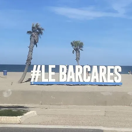 Fonctionnel A 50m Avec Parking Prive, Loggia Et Acces Commerces - - Fr-1-782-65 * Le Barcarès